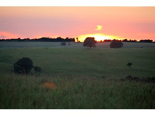 Property photo 12 - LARGE KANSAS AUCTION - 7,672+/- ACRES OFFERED IN 12 TRACTS IN CHAUTAUQUA COUNTY, KANSAS